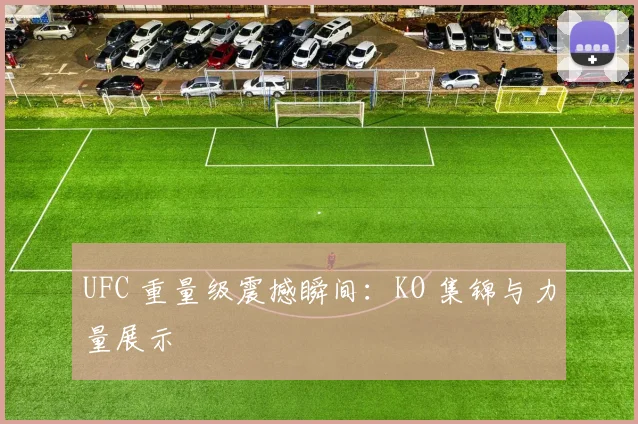 UFC 重量级震撼瞬间：KO 集锦与力量展示