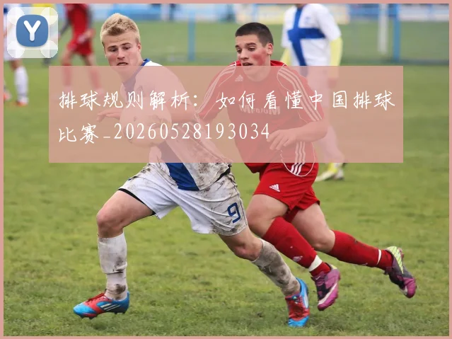 排球规则解析：如何看懂中国排球比赛_20260528193034