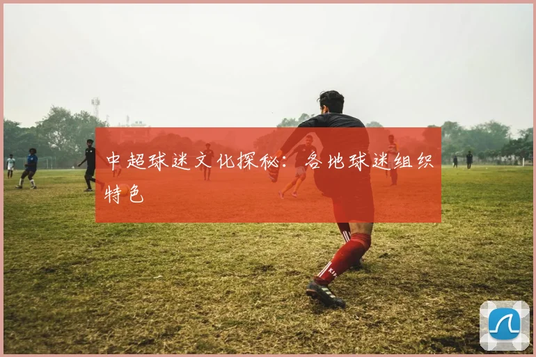 中超球迷文化探秘：各地球迷组织特色