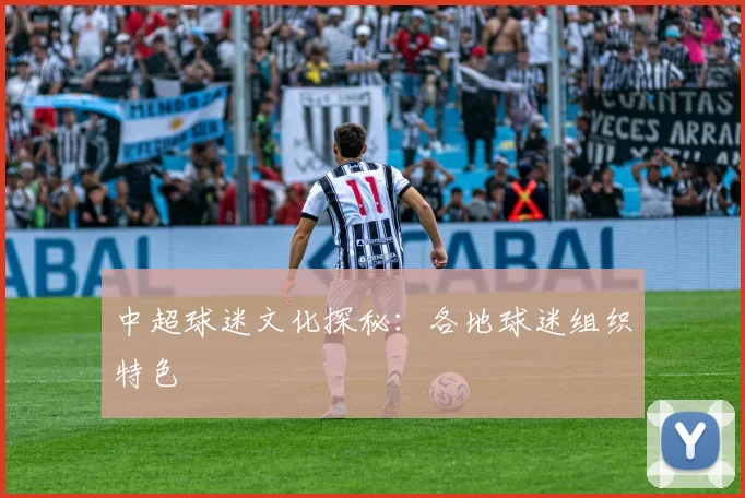 中超球迷文化探秘:各地球迷组织特色