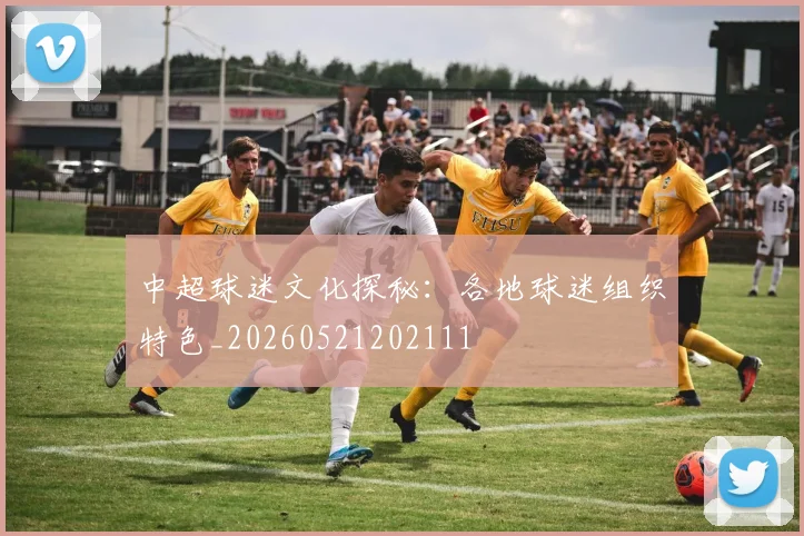 中超球迷文化探秘：各地球迷组织特色_20260521202111
